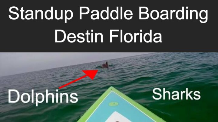 paddle boarding in destin florida thumbnail