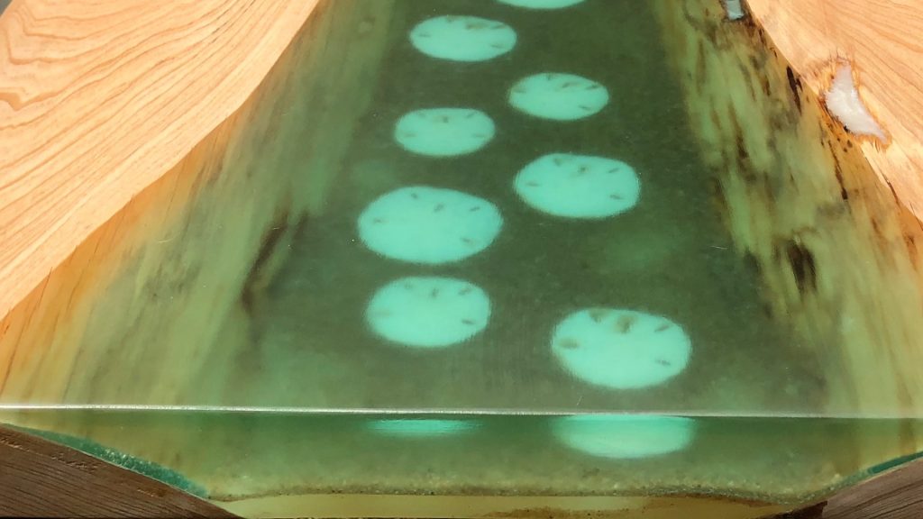 Epoxy Resin Beach Table with real sand dollars