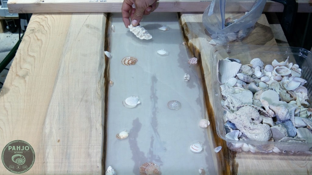 how to set shells in resin